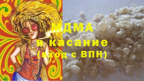 индика Алексин