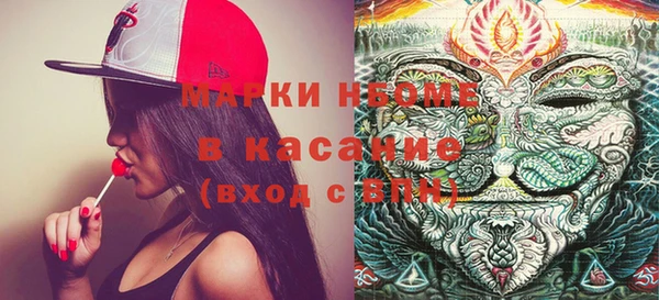 индика Алексин