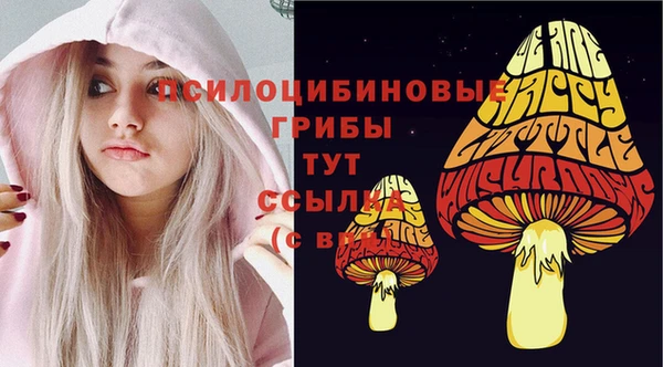 таблы Алексеевка