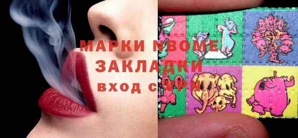 индика Алексин