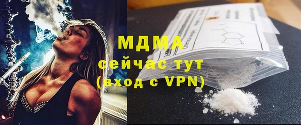 индика Алексин
