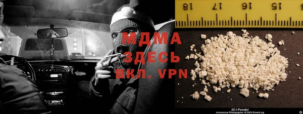 индика Алексин