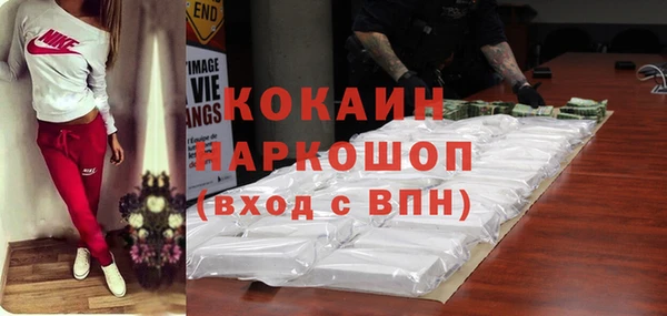 индика Алексин